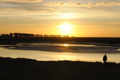 France, Manche, Bay of Mont Saint Michel, intertidal zone of Couesnon River at sunset