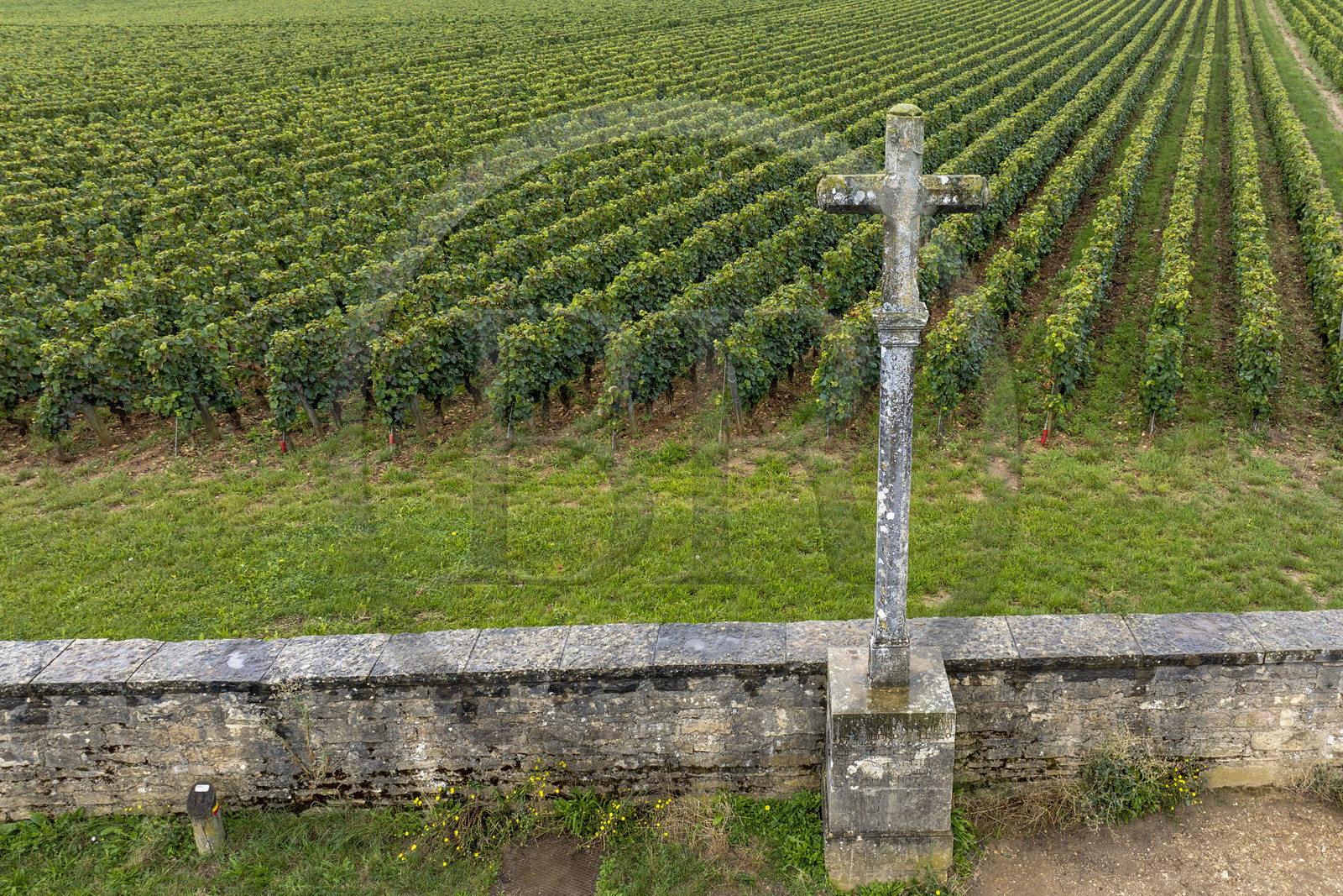 France, Côte-d'Or (21), Paysage culturel des climats de Bourgogne classés Patrimoine Mondial de l'UNESCO, Route des Grands Crus, vignoble de la Côte de Nuits, Vosne-Romanée, le vignoble du Domaine de la Romanée-Conti