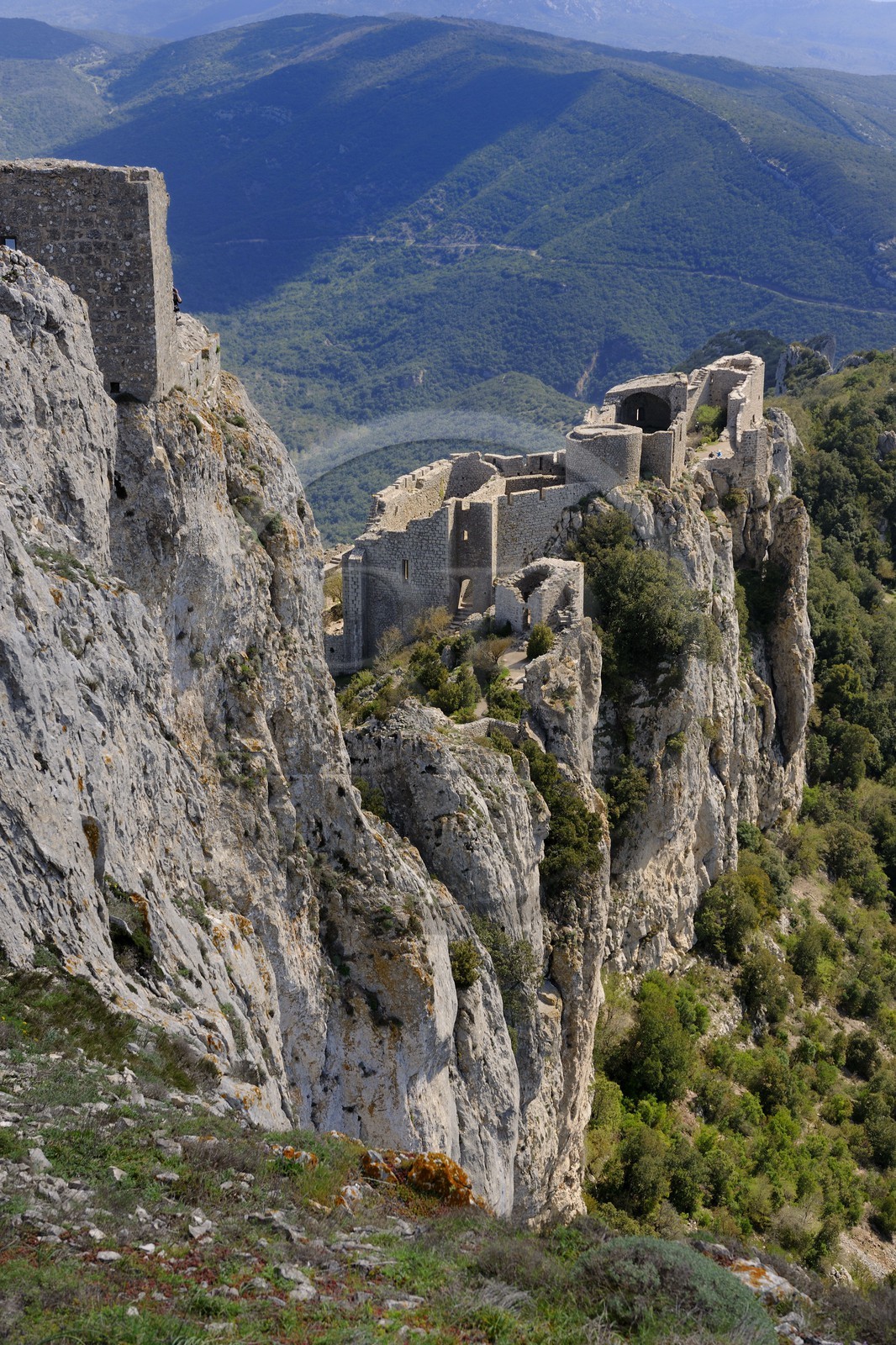 France, Aude (11), Pays Cathare, le château de Peyrepertuse du XIIe siecle