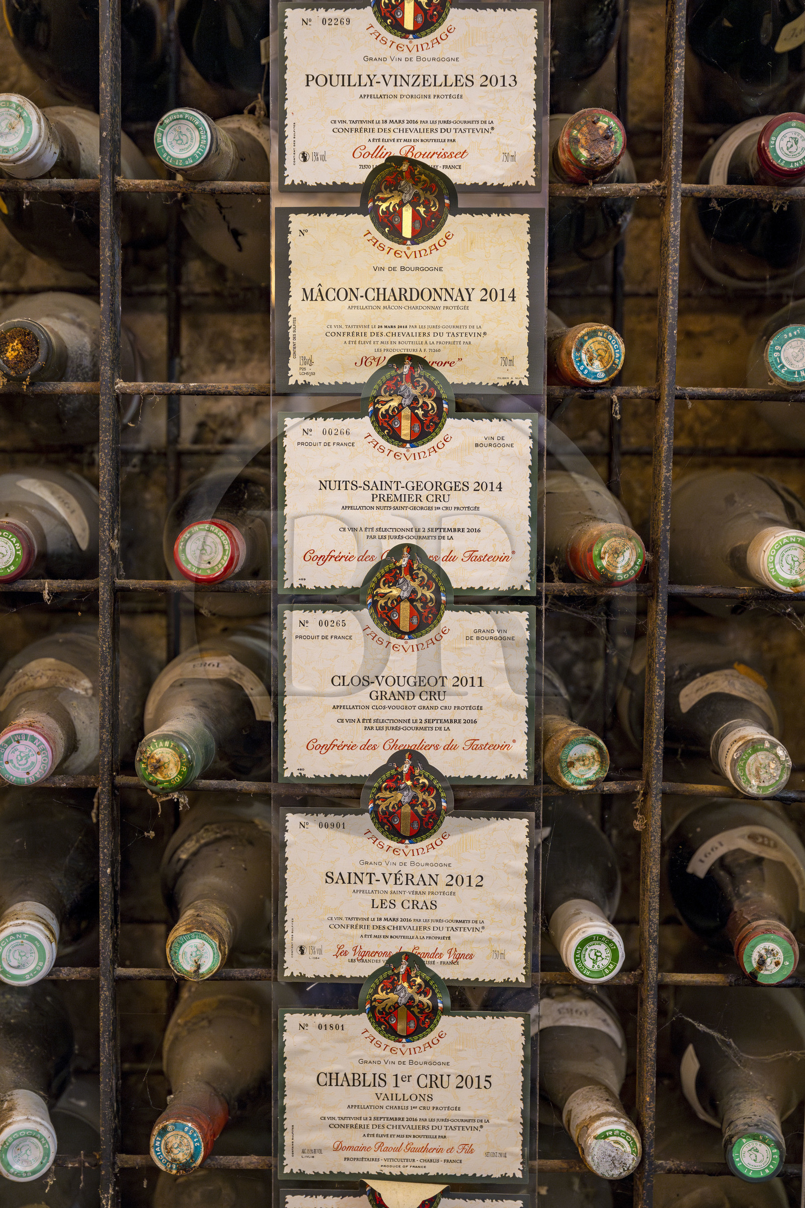 France, Côte-d'Or (21), Paysage culturel des climats de Bourgogne classés Patrimoine Mondial de l'UNESCO, Route des Grands Crus, vignoble de la Côte de Nuits, Vougeot, le Chateau du Clos de Vougeot, oenothèque dans le cellier du château du Clos de Vougeot avec les plaques des tastevinages annuels