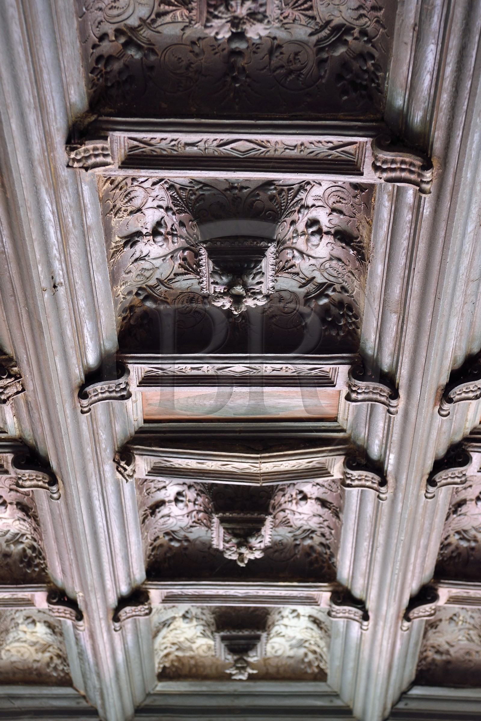 France, Meuse (55), Saint-Mihiel, maison du sculpteur de la Renaissance Ligier Richier, plafond à caissons sculpté en terre cuite moulée au décor géométrique (vers 1540)