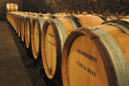 France, Côte d'Or (21), Gevrey-Chambertin, cave du domaine Drouhin-Laroze