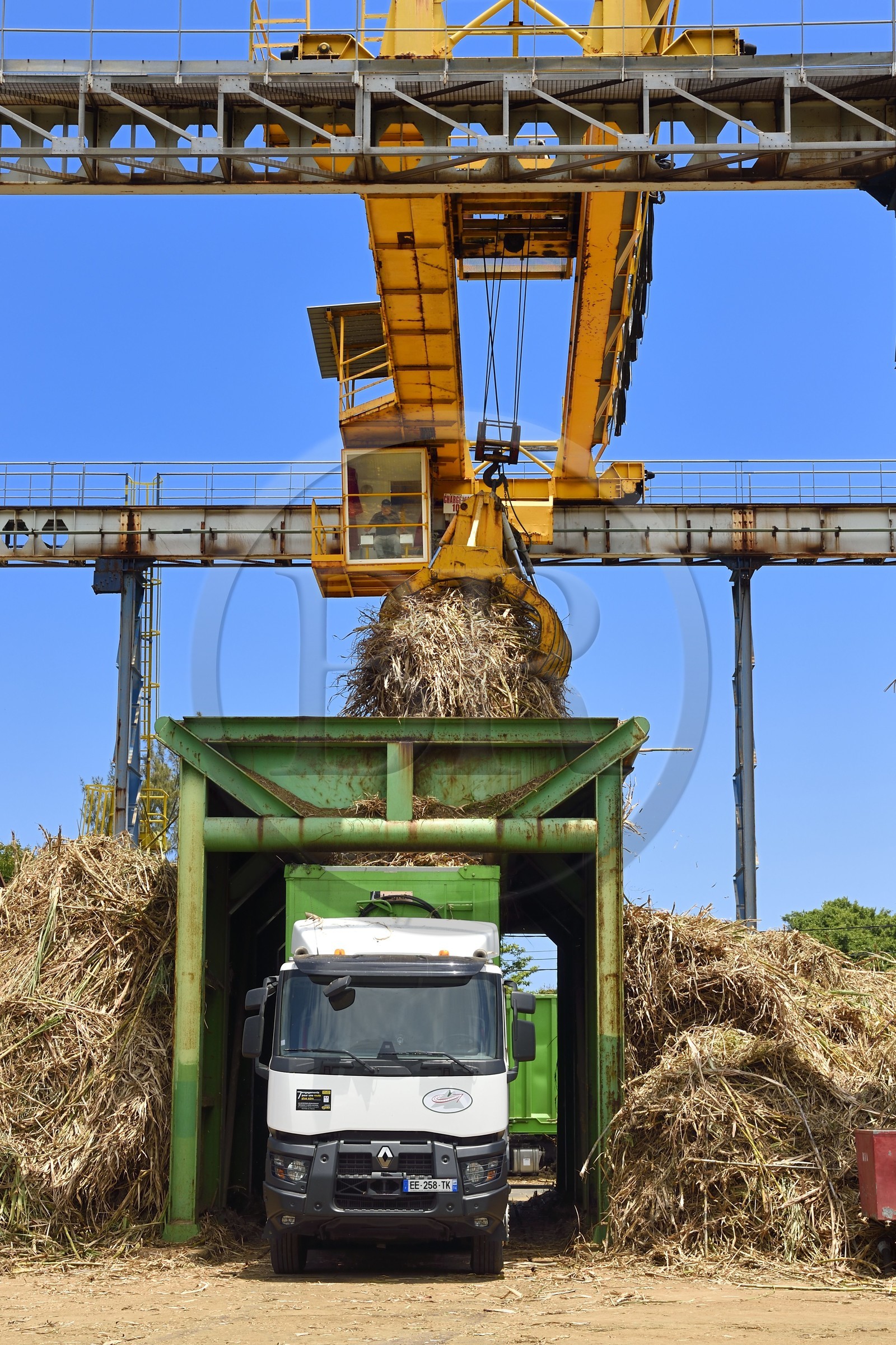 France, Ile de la Reunion, Saint-Joseph, un des 11 centres de réception et de collecte de la canne à sucre aussi appelés Balance, les tracteurs amènent depuis les champs la canne dans des remorques, elle est ensuite pesée et chargée dans de grand camions appelés cachalots pour être acheminée vers l'usine sucrière du Gol