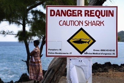 France, Ile de la Reunion, Saint-Joseph, le petit port de la Marine de Langevin, panneau Danger Requin mettant en garde sur la présence possible de requins