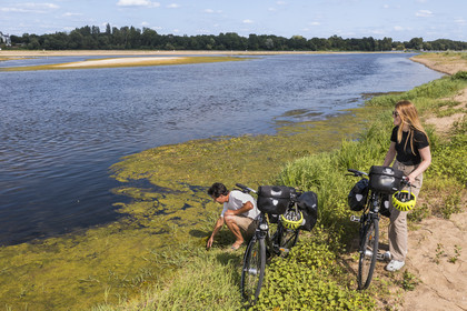 France, Maine-et-Loire, Loire valley listed as World Heritage by UNESCO, Gennes-Val-de-Loire, cycling on the banks of the Loire (aerial view)