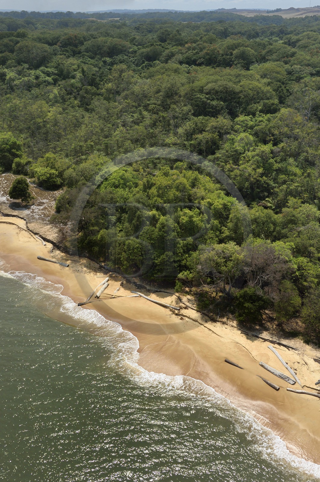 Gabon, Estuaire Province, Wonga Wongue National Park, logs washed up on the beach in the coastal zone (aerial view)