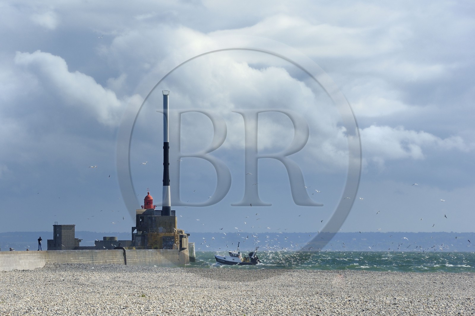 France, Seine-Maritime (76), Le Havre, bateau de pêche entrant au port suivi par une nuée de goélands