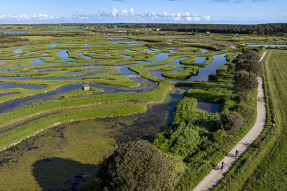 France, Vendée (85), Talmont-Saint-Hilaire, marais de la Guittière dans l'arrière pays de la Pointe du Payré, cycliste sur la piste de la véloroute Vendée Vélo Tour et Vélodyssée au passage du Cul d’Ane, marais aménagés pour la pisciculture de dorades, mulets et anguilles (vue aérienne)