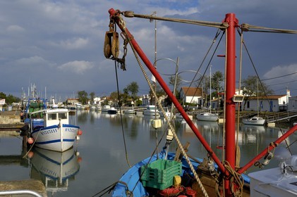 France, Charente-Maritime (17), Ile d'Oléron, port de Boyardville