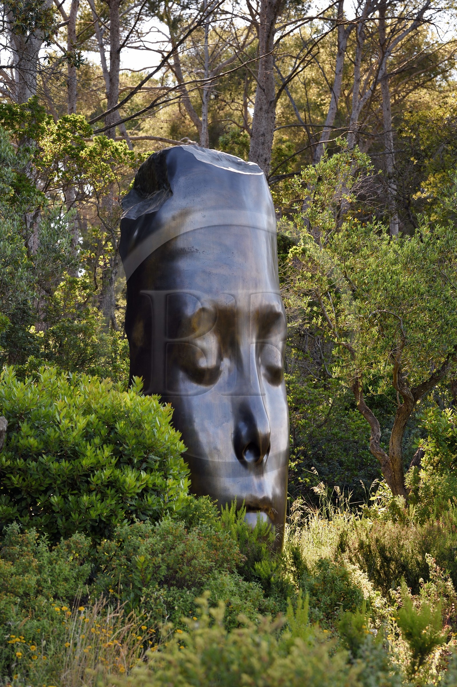 France, Var, Iles d'Hyeres, Parc National de Port Cros (National park of Port Cros), Porquerolles island, Fondation Carmignac, one sculpture of The three alchemists by Jaume Plensa