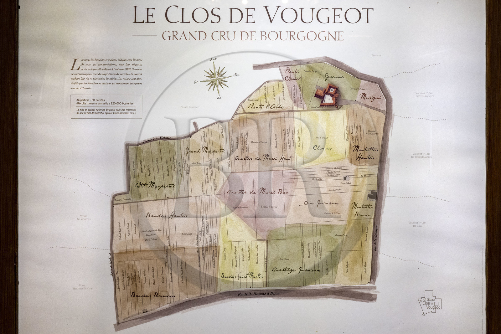 France, Cote d'Or, cultural Landscape of the climates of Burgundy listed as World Heritage by UNESCO, Route des Grands Crus (road of Vintage Wines), vineyard of the Côte de Nuits, Vougeot, the Chateau of Clos de Vougeot, name of the plots