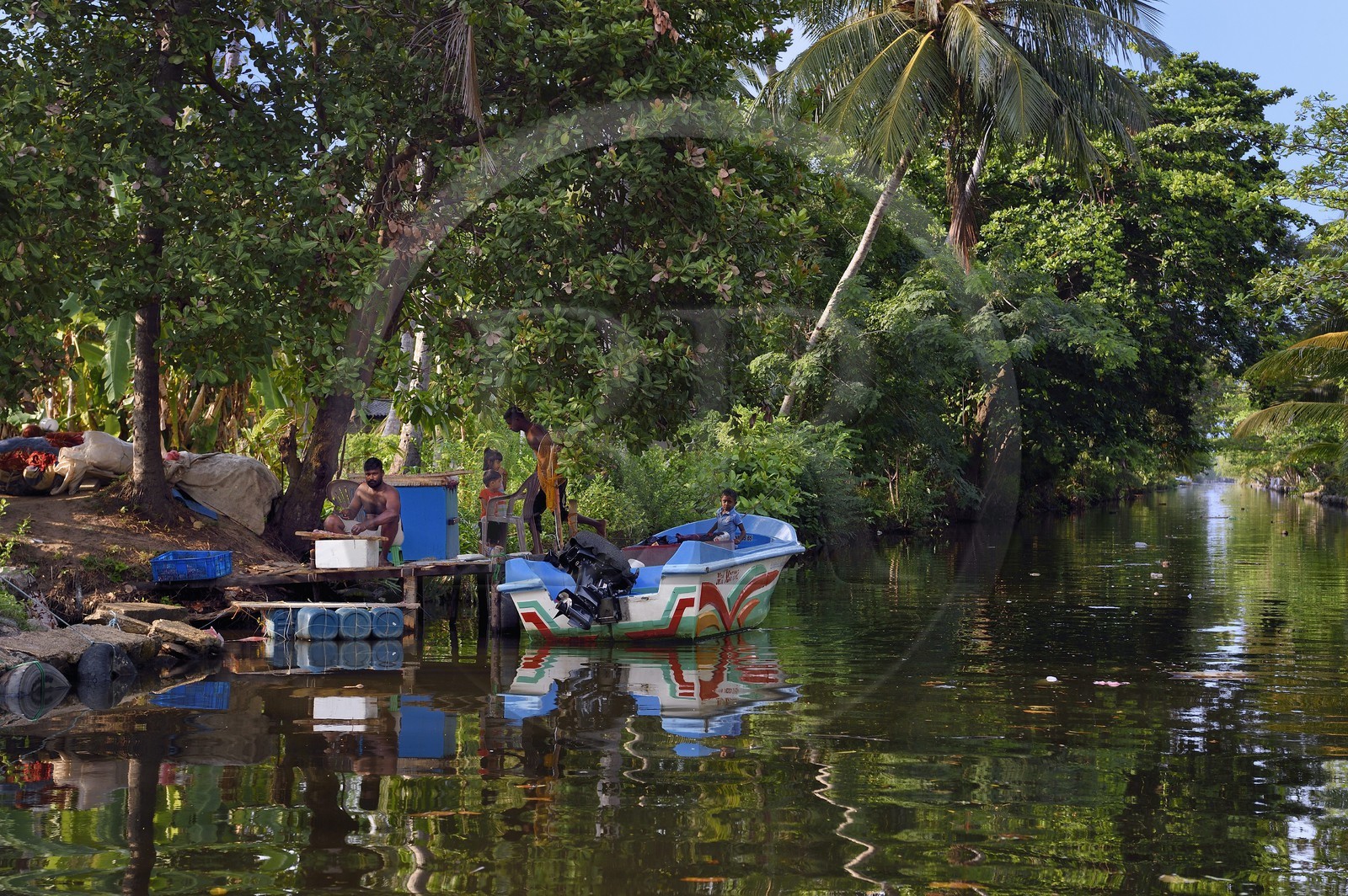 Sri Lanka, Province de l'Ouest, canal hollandais (Hamilton Canal) entre Colombo et Negombo vers Uswetakeiyawa