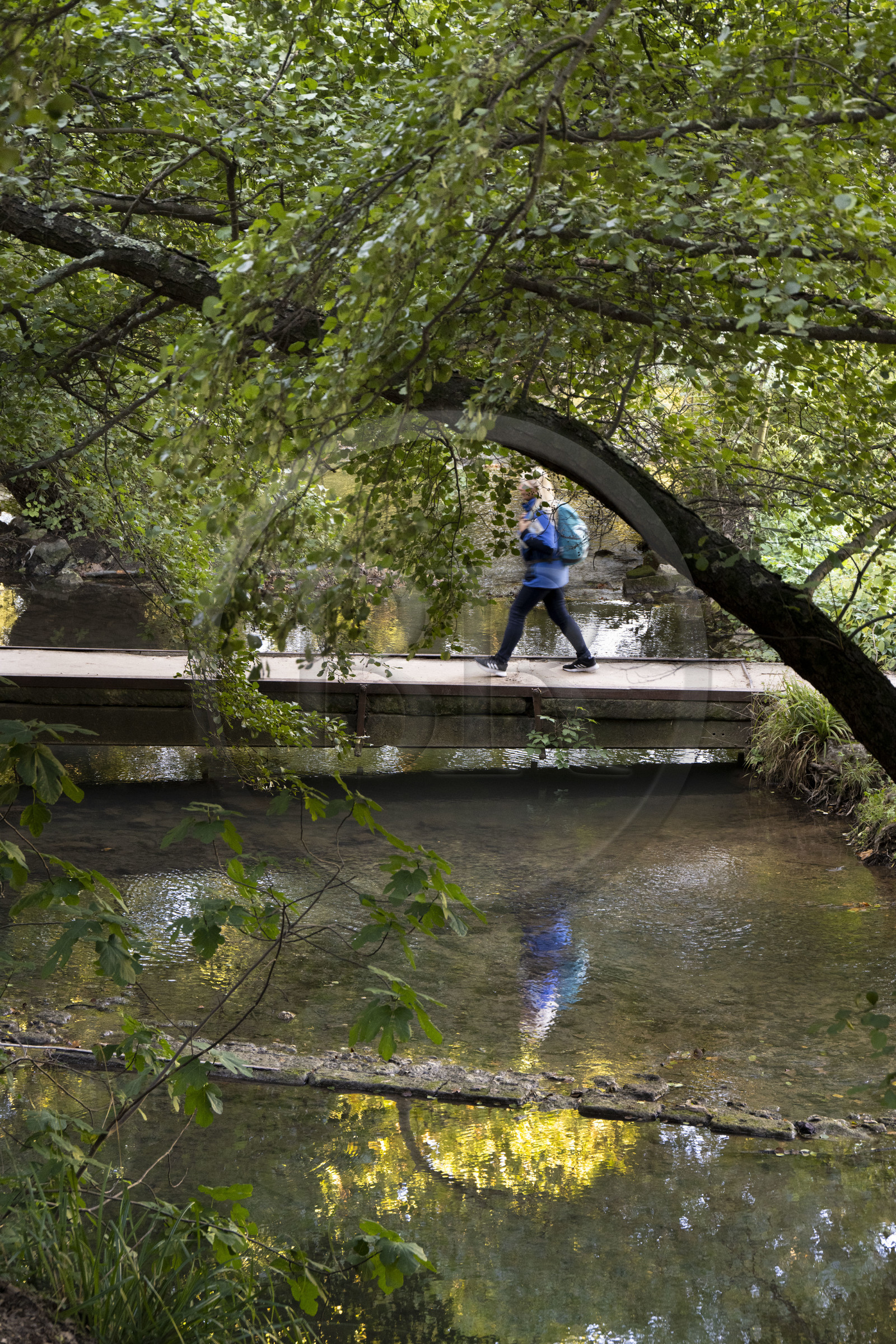 France, Gard (30), Uzès, Vallée de l'Eure, la rivière Alzon parallèle à l'aqueduc romain de Nimes