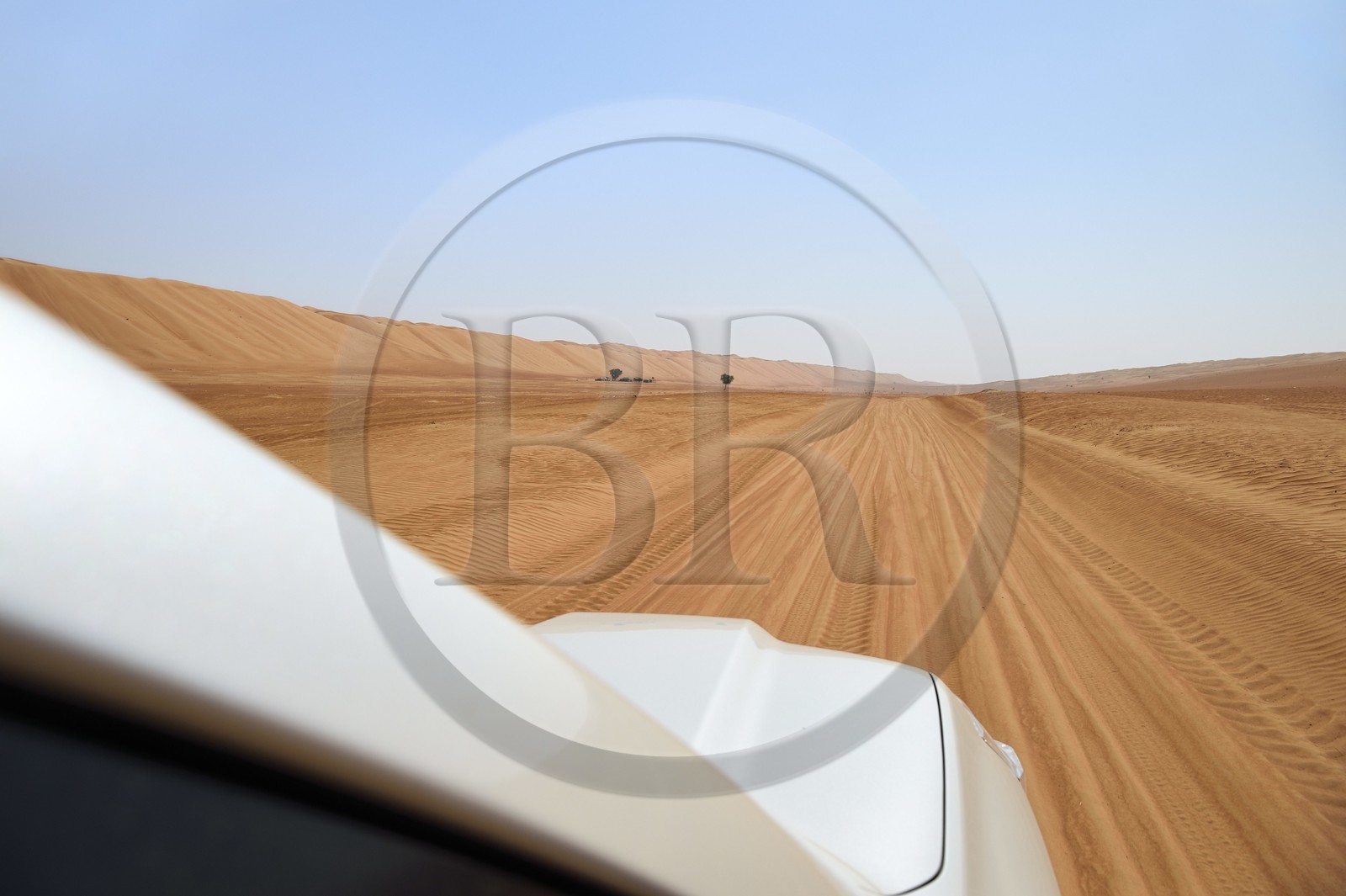 Sultanate of Oman, governorate of Ash Sharqiyah, desert of Wahiba Sands or Sharqiya Sands, 4x4 on the track that slaloms between the sand dunes