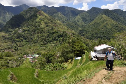 Philippines, Ifugao province, Banaue rice terraces, listed as World Heritage by UNESCO, fed by an ancient irrigation system from the rainforests above the terraces and the village of Cambulo