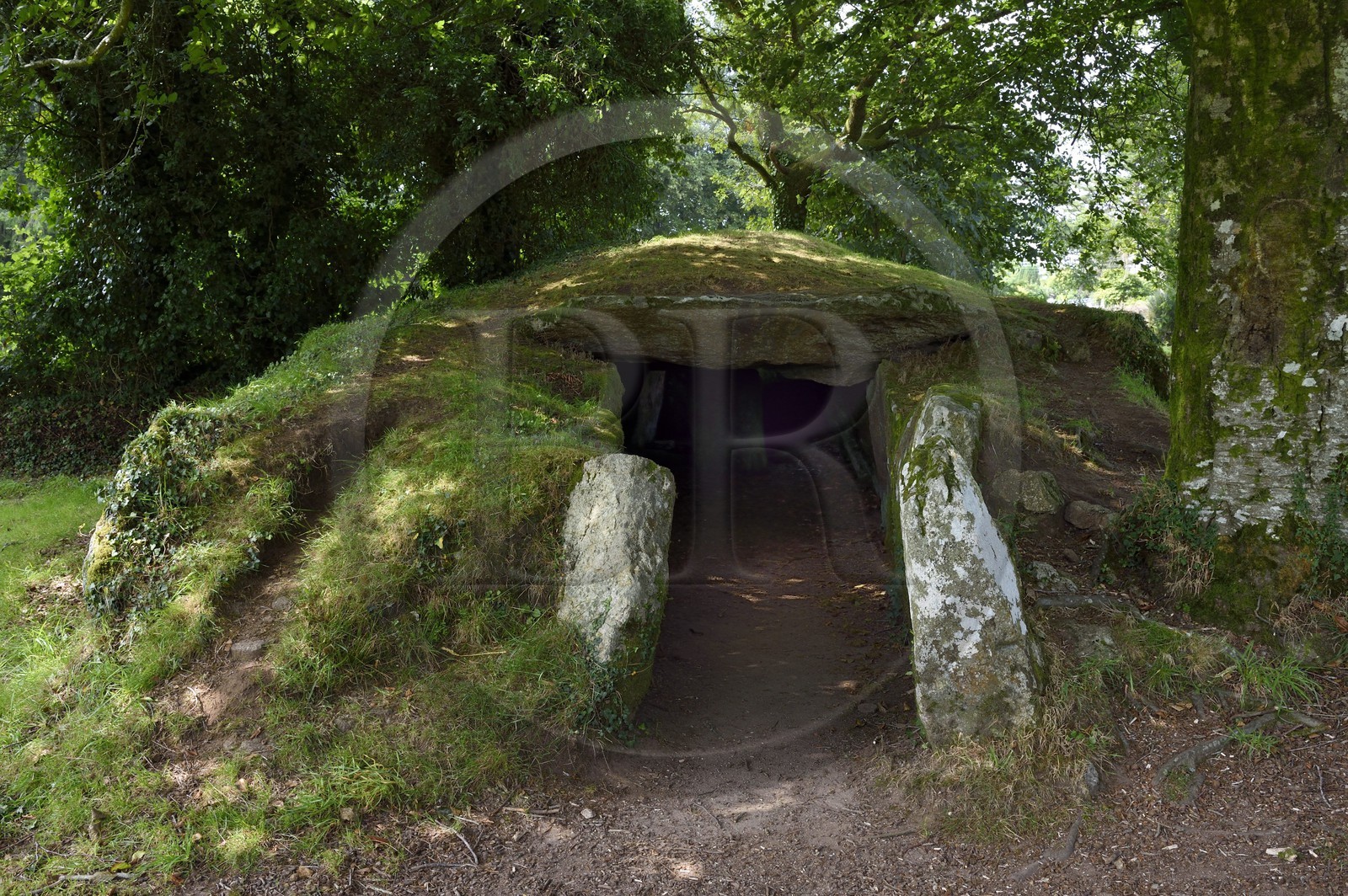 France, Finistère (29), parc naturel régional d'Armorique, Monts d'Arrée, Brennilis, le dolmen de Ti Ar Boudiged (la maison des fées)
