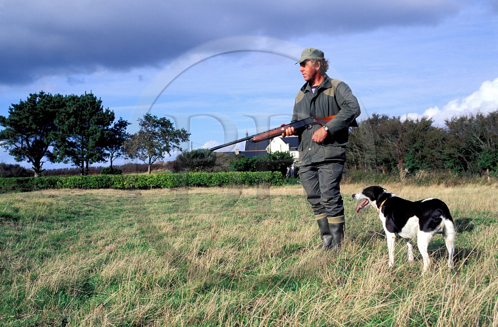 France, Morbihan (56), Belle-Île, chasseur et son chien