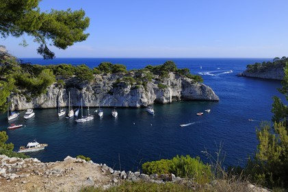 France, Bouches-du-Rhône (13), Cassis, presqu'île de Port Miou