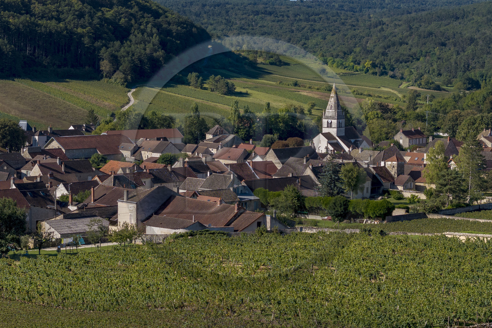 France, Côte-d'Or (21), les climats de Bourgogne classés Patrimoine Mondial de l'UNESCO, Côte de Beaune, village de Auxey-Duresses entouré de vignes (vue aérienne)