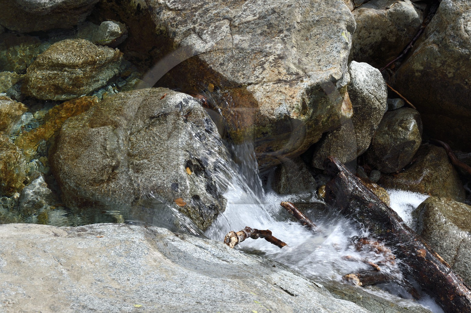 France, Haute-Corse (2B), Vivario, GR 20, étape entre le refuge de l'Onda et Vizzavona, foret de Vizzavona, les cascades des anglais, groupe de cascades dans la vallée de l'Agnone au pied du Monte d'Oro