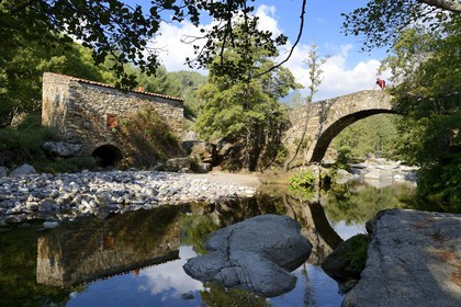 France, Haute Corse, Niolu (Niolo) region, Genoese bridge of Murricciolu over the Calasima river and the old mill