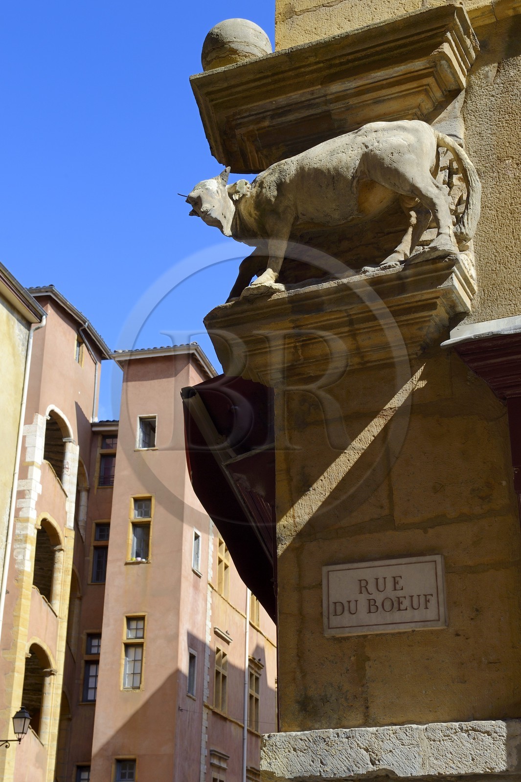 France, Rhône (69), Lyon, site historique classé Patrimoine Mondial de l'UNESCO, Vieux Lyon, plaque de la rue et statue du bœuf (taureau) à l'angle de la rue dont elle tire le nom et de la Place Neuve Saint-Jean