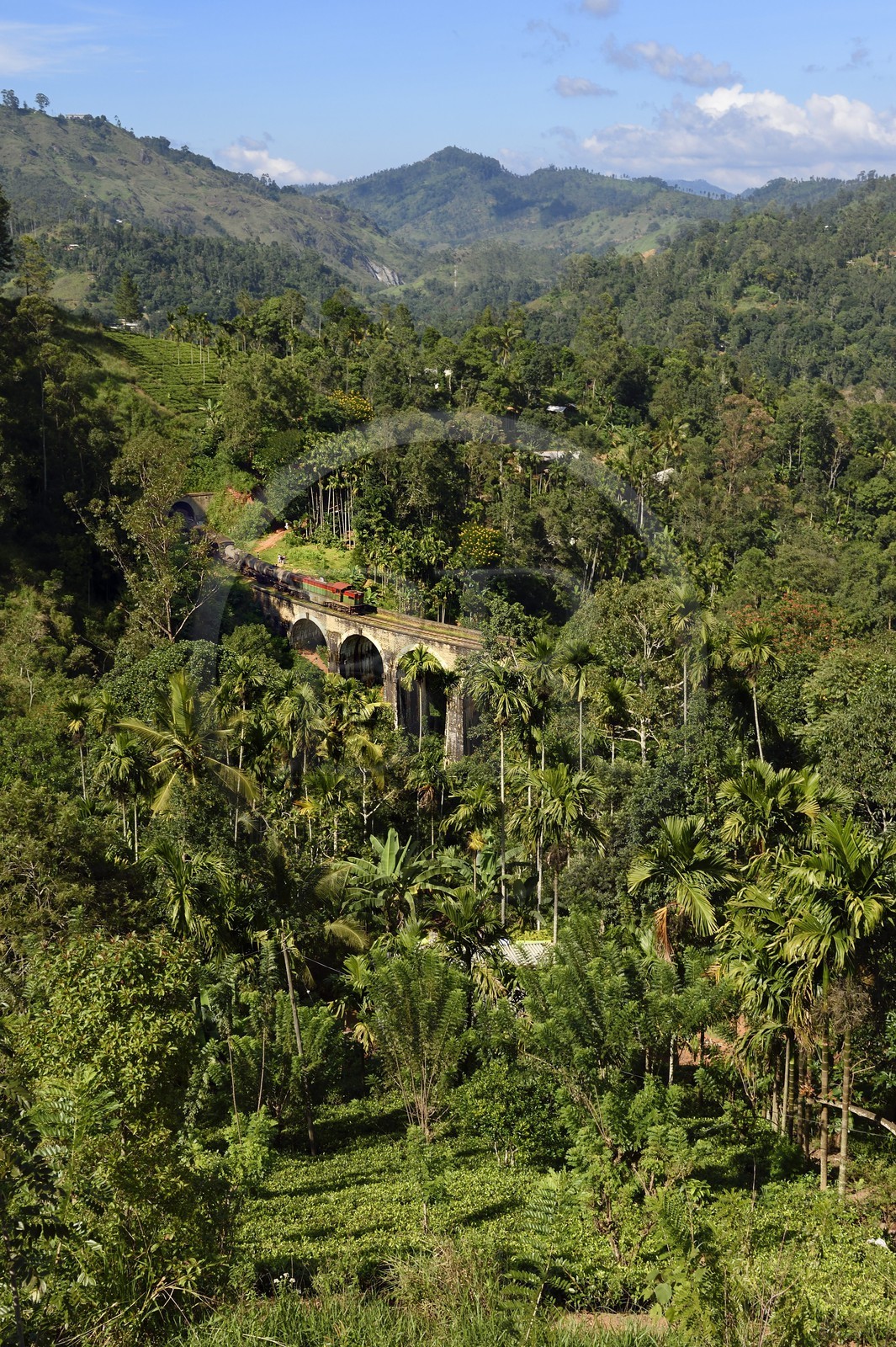 Sri Lanka, Province d'Uva, train sur la voie de chemin de fer dans la région montagneuse de la culture du thé entre Badulla et Ella, le Pont aux Neuf Arches (1921) non loin de Ella