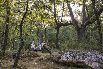 France, Var (83), Provence Verte, Bras, Académie du Bain de Forêt Provençale, forêt du domaine Le Peyrourier - une campagne en Provence