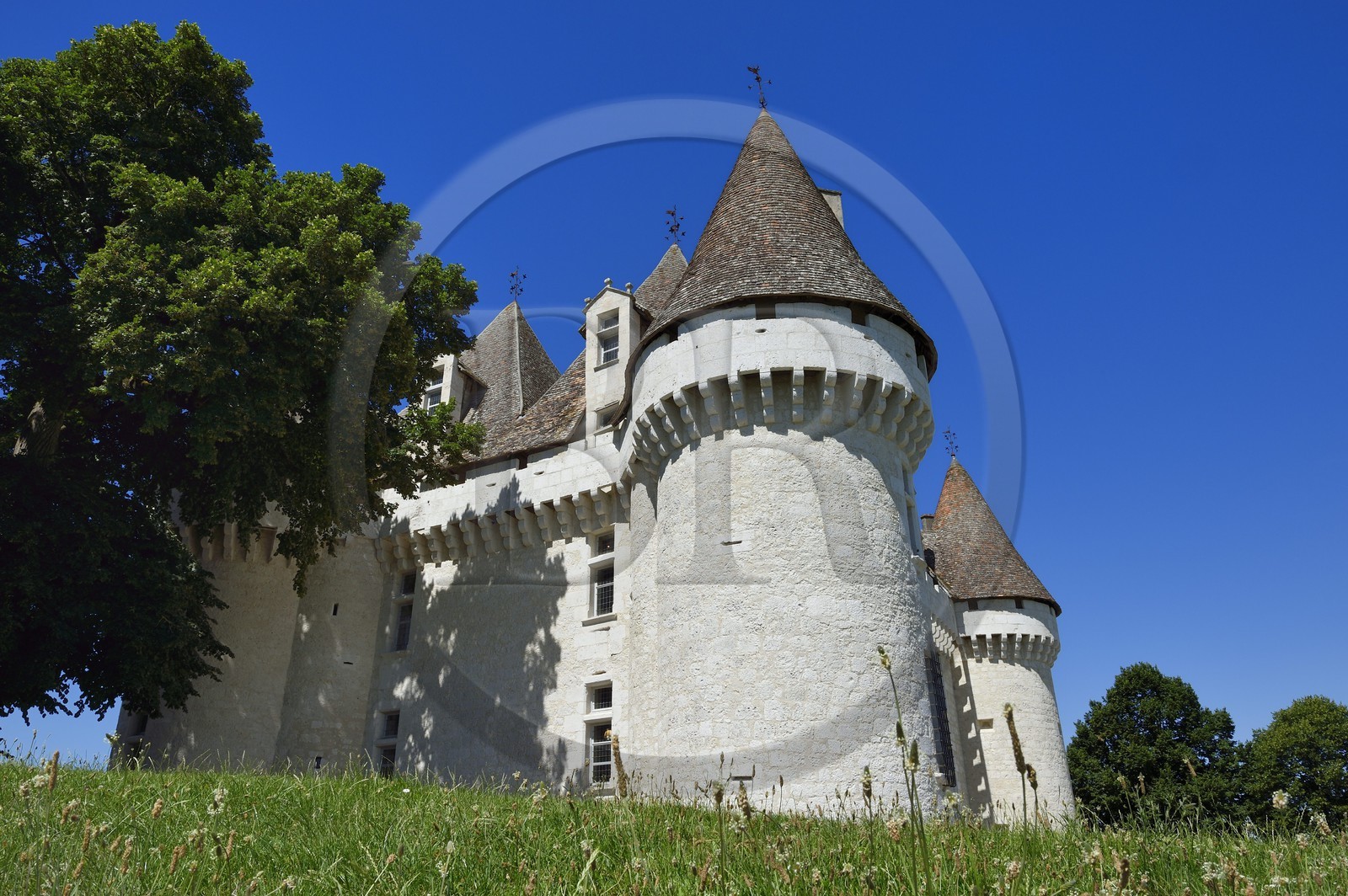 France, Dordogne (24), Périgord Pourpre, Monbazillac, Chateau de Monbazillac