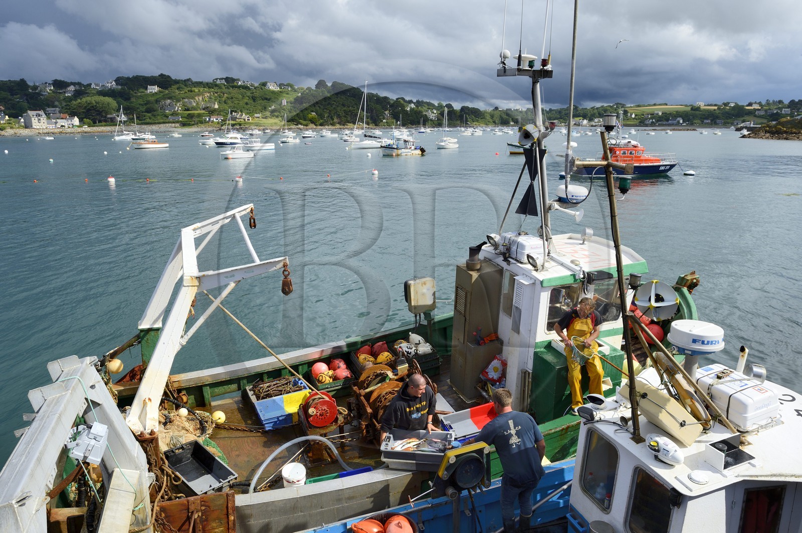 France, Finistère (29), Plougasnou, retour de pêche des chalutiers au port du Diben