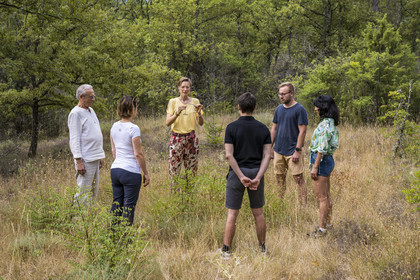 France, Var (83), Provence Verte, Bras, Académie du Bain de Forêt Provençale, forêt du domaine Le Peyrourier - une campagne en Provence, Constanze Coisne guide le Shinrin Yoku