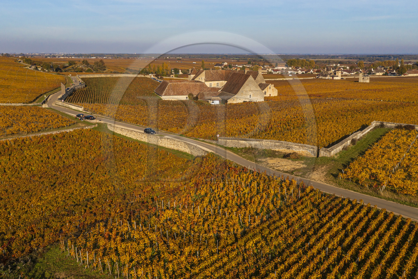 France, Côte-d'Or (21), Paysage culturel des climats de Bourgogne classés Patrimoine Mondial de l'UNESCO, Vougeot, Route des Grands Crus, le vignoble et le chateau du Clos de Vougeot (vue aérienne)