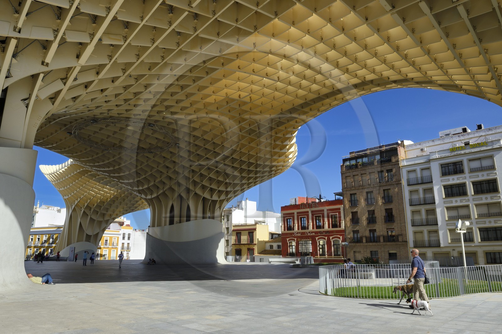 Spain, Andalusia, Seville, Plaza de la Encarnacion - Plaza Mayor, Metropol Parasol (built 2011) by architect Jurgen Mayer-Hermann