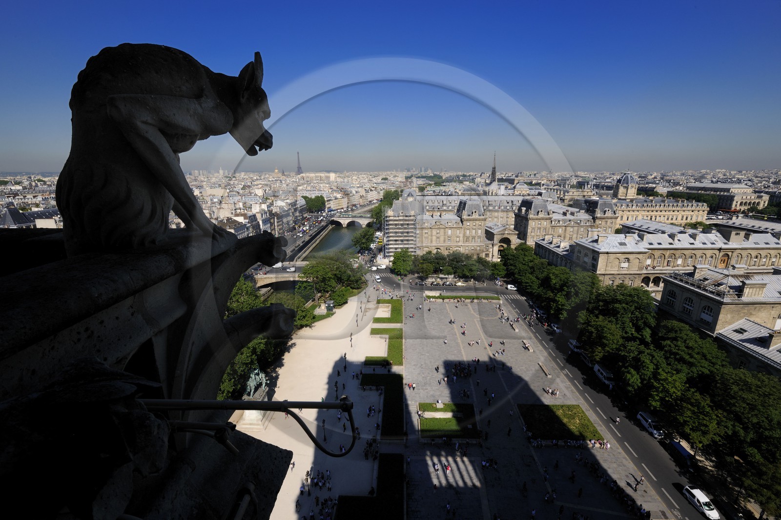 France, Paris, ile de la Cite, Notre-Dame Cathedral, the chimeras observe the city
