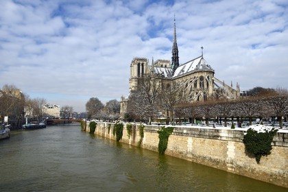 France, Paris, area listed as World Heritage by UNESCO, the banks of the Seine, classified World Heritage by UNESCO, the Seine in flood and the Notre-Dame Cathedral under the snow on the Ile de la Cité and the quai de l'Archevêché