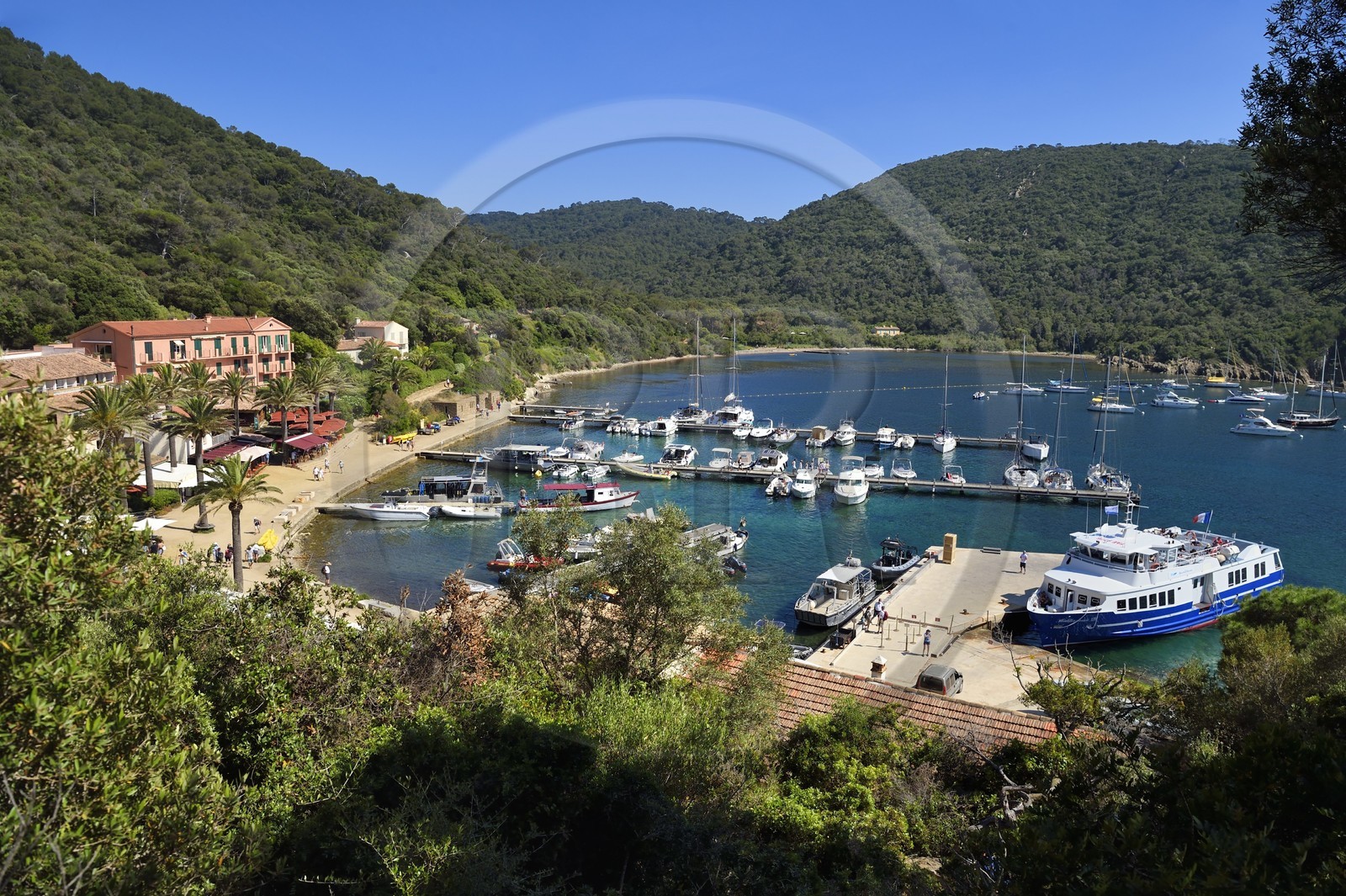 France, Var, Iles d'Hyeres, Parc National de Port Cros (National park of Port Cros), Port-Cros island, the port and village in the harbour