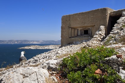 France, Bouches du Rhone, Marseille, Calanques National Park, archipelago of Frioul islands, Pomegues island, French battery of the semaphore (1880-1883), a small german bunker that retained its wood formwork