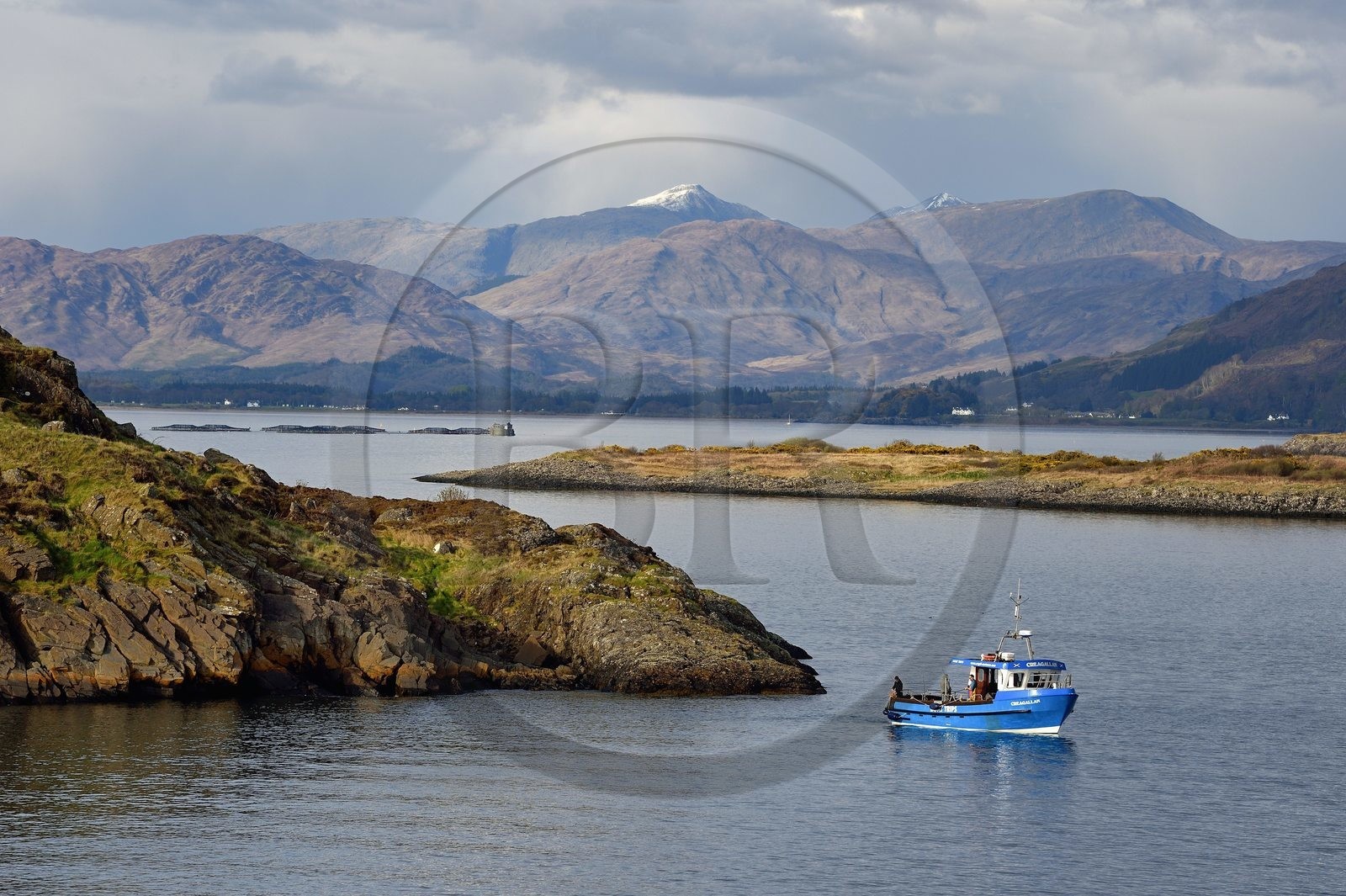 Royaume-Uni, Ecosse, Highland, Argyll and Bute, Oban, pecheurs dans les ilots du Loch Linnhe à l'Est de l'Ile de Mull
