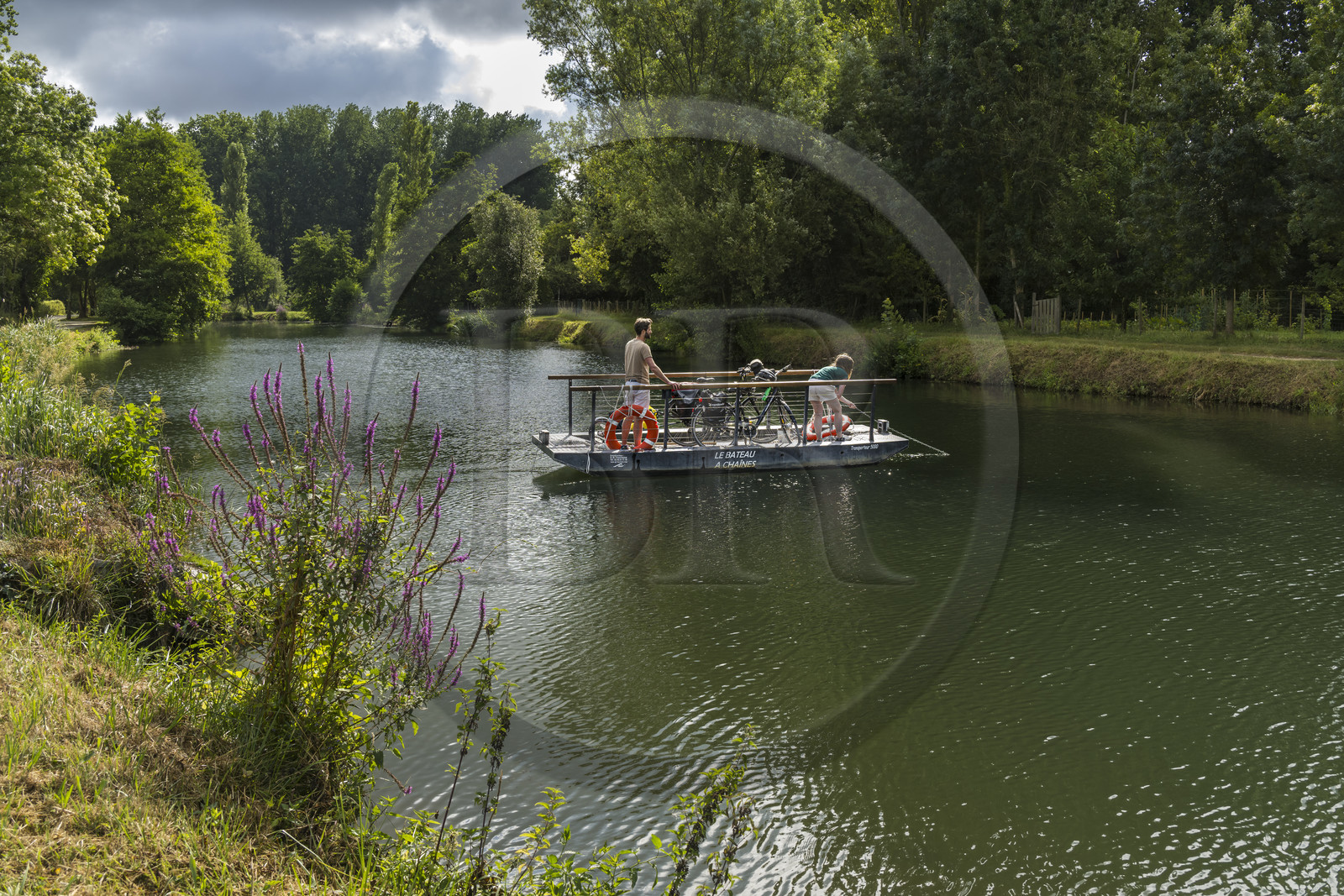 France, Deux-Sèvres (79), le Marais Poitevin, la Venise Verte, Magné, randonnée à bicyclette, passage de la Sèvre Niortaise à sur un des bateaux à chaines en libre accès