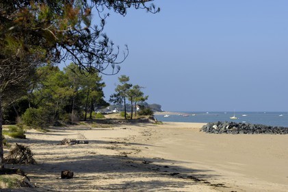 France, Charente-Maritime (17), ile de Ré, Les Portes-en-Ré, plage de Trousse-Chemise