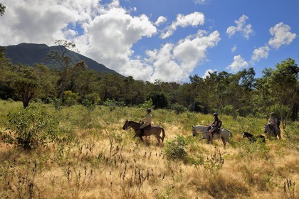Nicaragua, Ile d'Ometepe sur le lac Nicaragua, cavaliers en randonnée sur les pentes du volcan Maderas