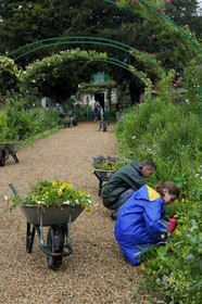 France, Eure (27), Giverny, le jardin de Claude Monet, la grand allée qui mène à la maison
