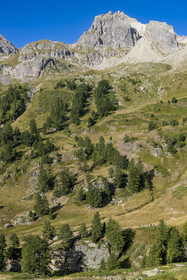 France, Hautes Alpes (05), le Briançonnais, Névache, randonneurs dans la vallée de la Clarée, le massif des Cerces en arrière-plan