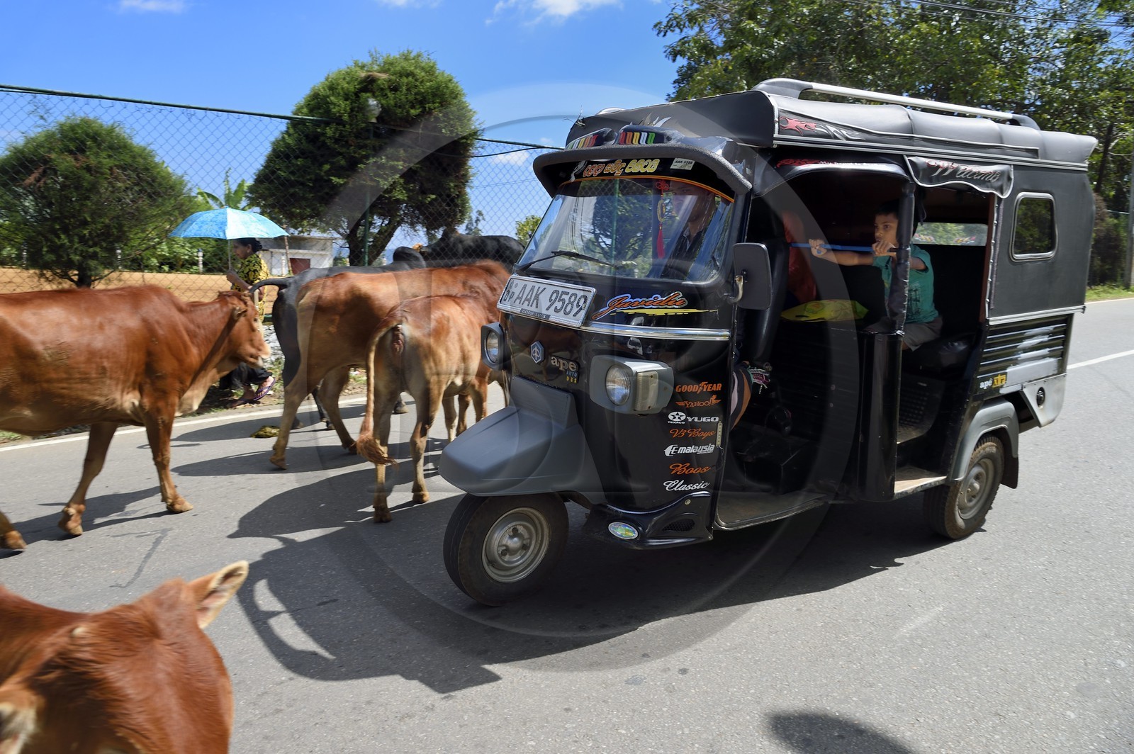 Sri Lanka, Province d'Uva, Diyathalawa, tricycle moto-taxi