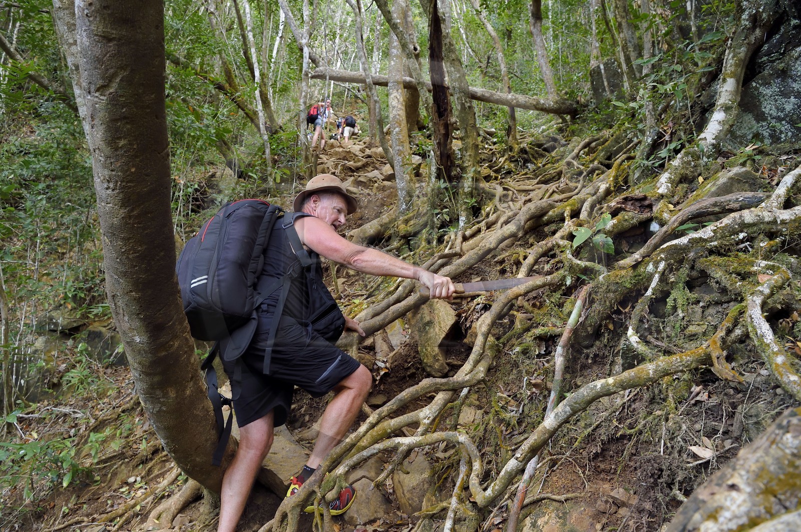 France, Mayotte island (French overseas department), Grande-Terre, Southern Crete Forest Reserve (Reserve Forestiere des Cretes du Sud) hikers climing at the summit of Mount Choungui (594 meters)