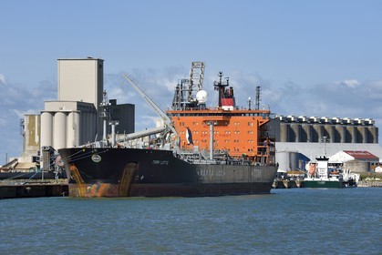 France, Charente-Maritime (17), La Rochelle, le Port Atlantique La Rochelle, port de commerce, silos à grains de la société Sica Atlantique