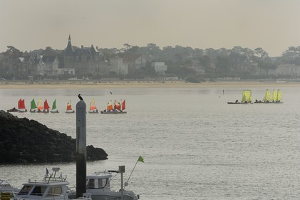France, Charente-Maritime (17), Royan, la Grande Conche