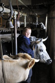 France, Haut Rhin, scenic road of la route des Cretes towards Metzeral, marcaire de Steinwasen farm, the son of the Matter family hanging the bells of the cows going back from grazing