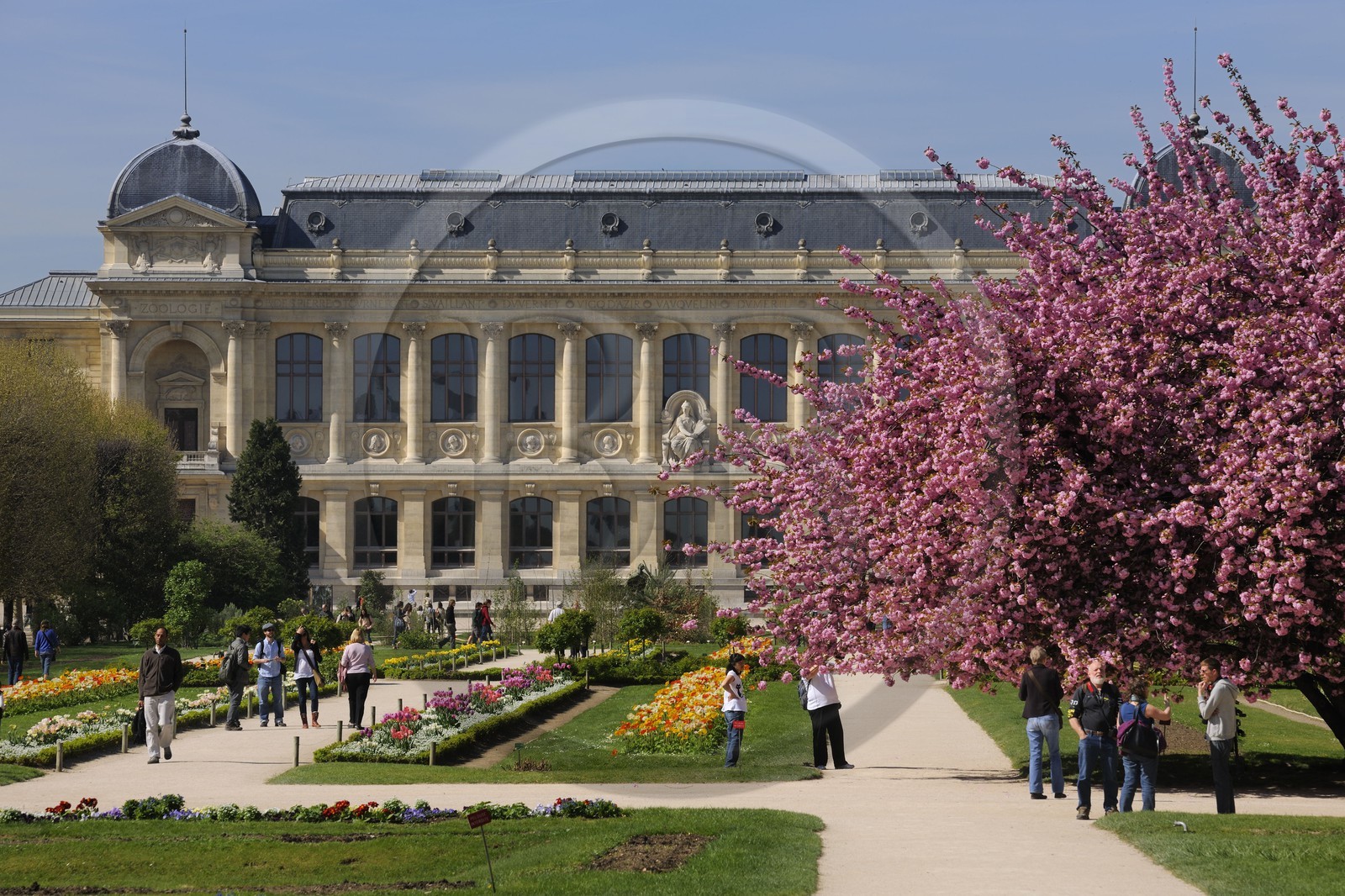 France, Paris (75), Muséum d'Histoire Naturelle, le Jardin des Plantes et la Grande Galerie de l’Évolution