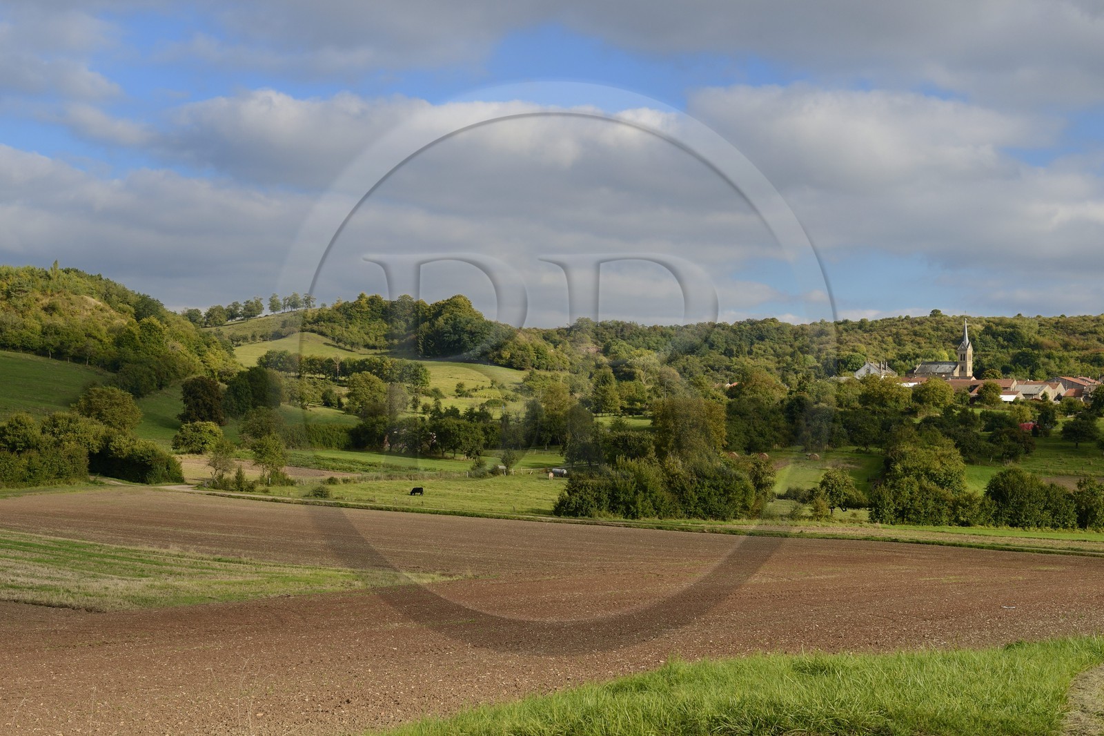 France, Moselle (57), le village de Veckring